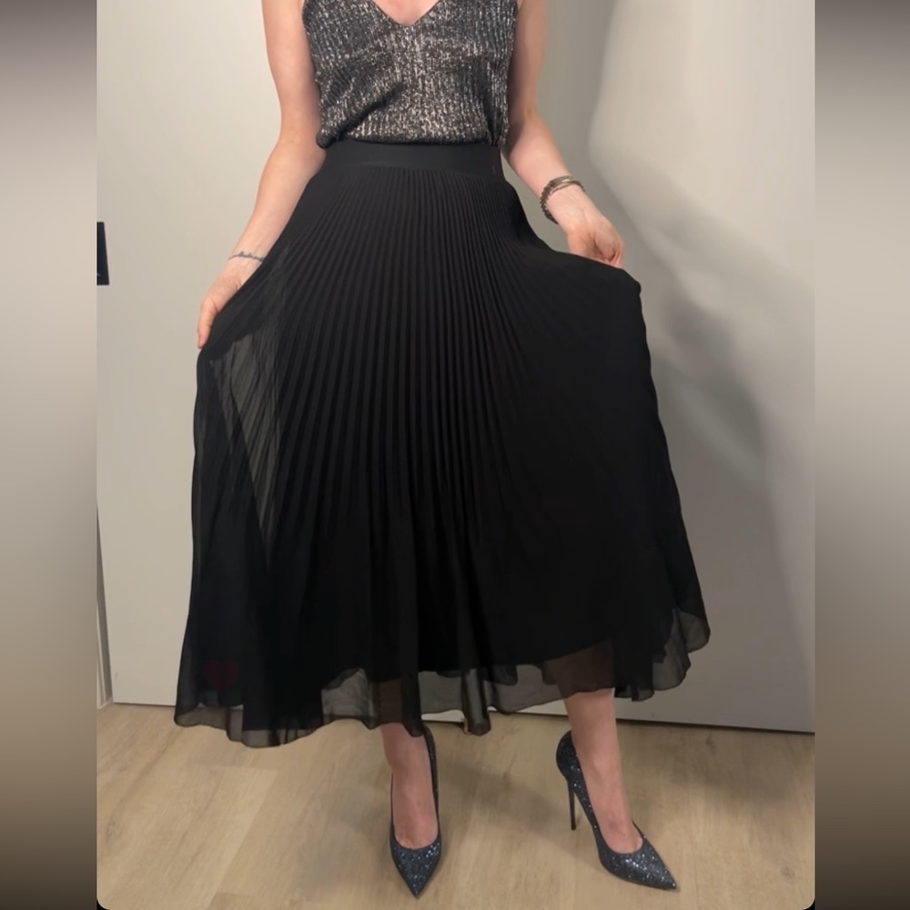 NWT from Aritzia Pleated Skirt Sz Small